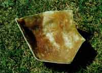 Fabricar kick panel 100.jpg Fabricar kick panel 100.jpg