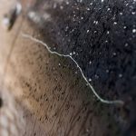 Cómo arreglar arañazos y abolladuras en tu coche